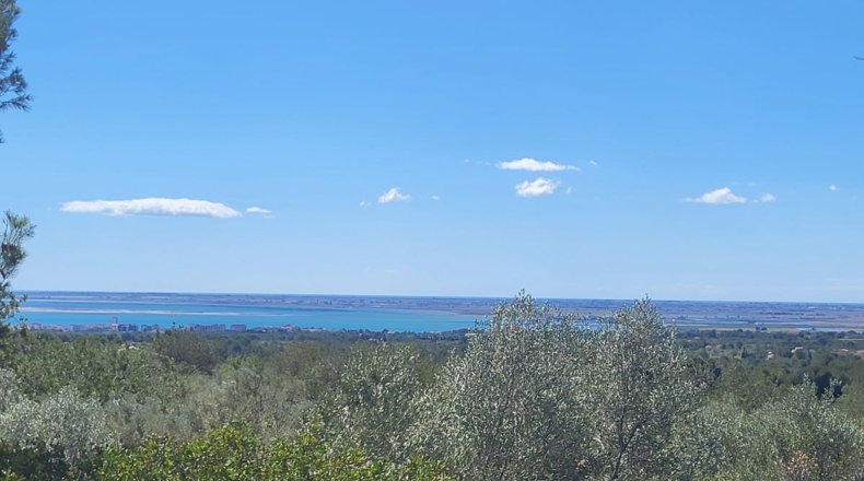 Tarragona - l'Ampolla - 45000m2