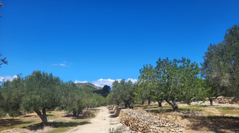 Tarragona - l'Ampolla - 45000m2