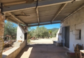 Rural estate for sale in l'Ampolla ref: TR190645 photo