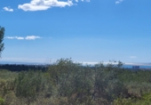 Rural estate for sale in l'Ampolla ref: TR190645 photo