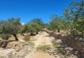 Rural estate for sale in l'Ampolla ref: TR190645 photo