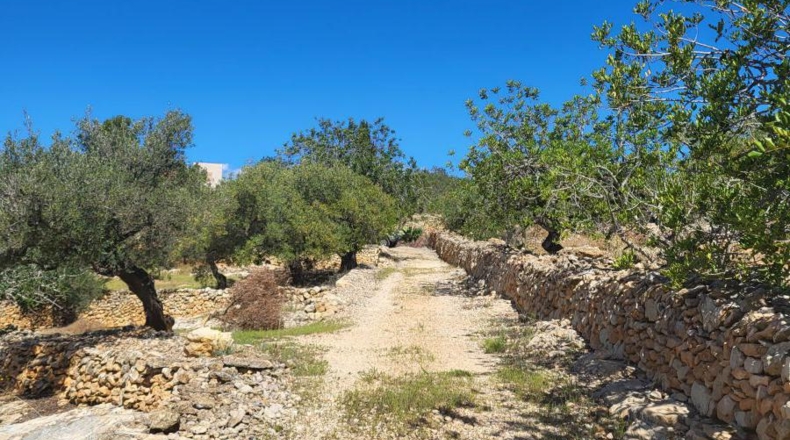Tarragona - l'Ampolla - 45000m2