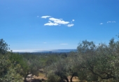 Rural estate for sale in l'Ampolla ref: TR190645 photo