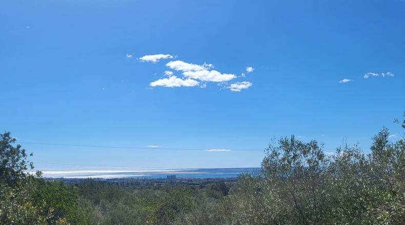 Tarragona - l'Ampolla - 45000m2