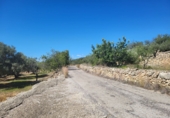 Rural estate for sale in l'Ampolla ref: TR190645 photo