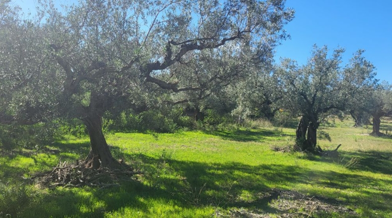 Tarragona - Raval de Crist - 21888m2