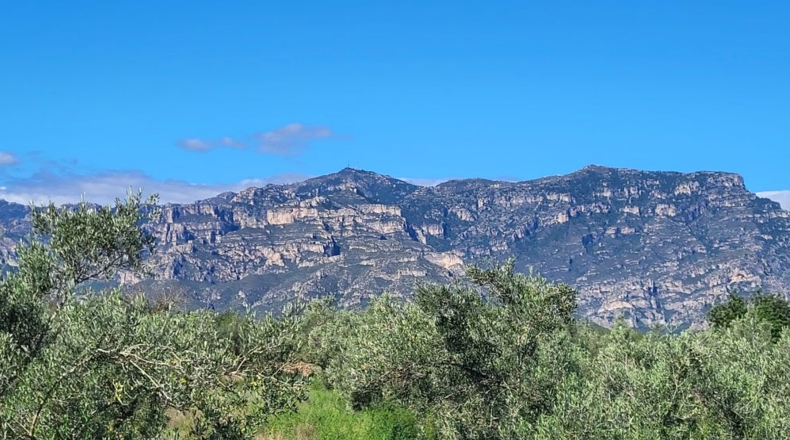 Tarragona - Raval de Crist - 21888m2