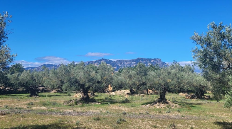 Tarragona - Raval de Crist - 21888m2