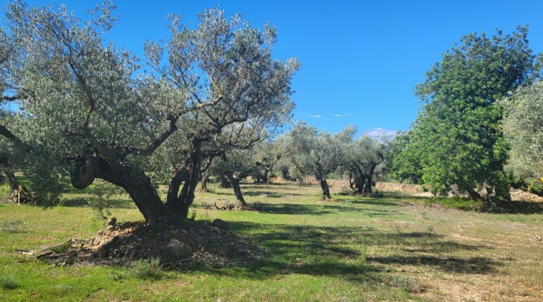 Tarragona - Raval de Crist - 21888m2