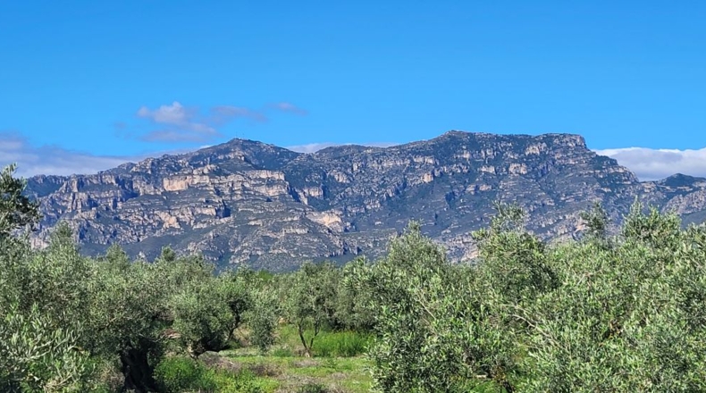 Tarragona - Raval de Crist - 21888m2