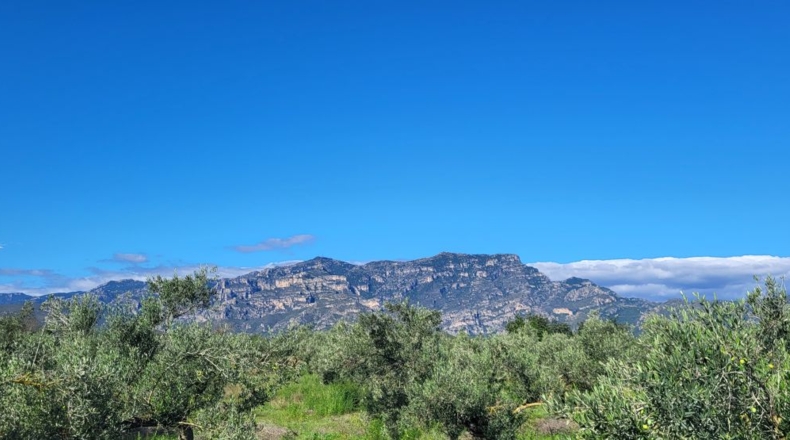 Tarragona - Raval de Crist - 21888m2