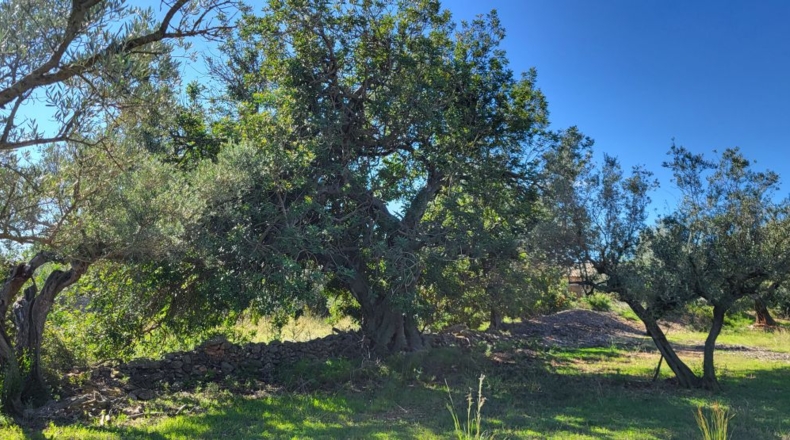Tarragona - Raval de Crist - 21888m2