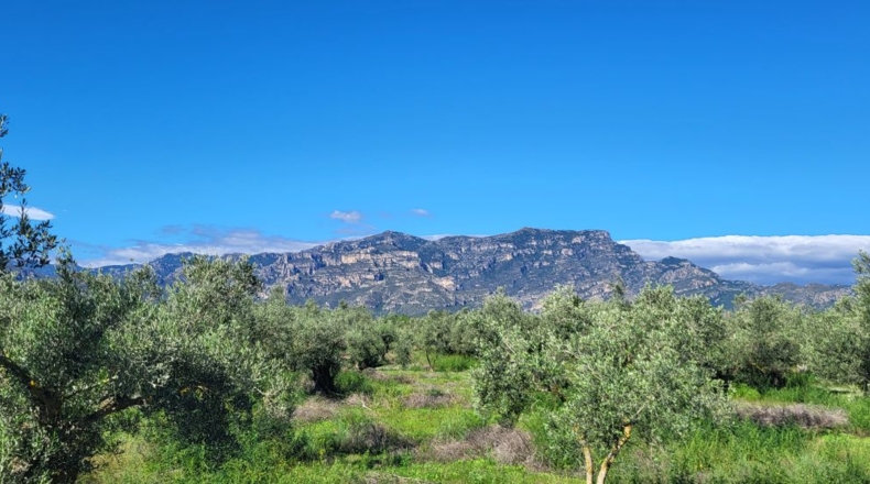 Tarragona - Raval de Crist - 21888m2