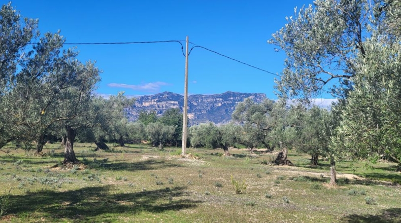 Tarragona - Raval de Crist - 21888m2