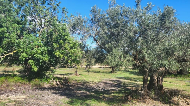 Tarragona - Raval de Crist - 21888m2