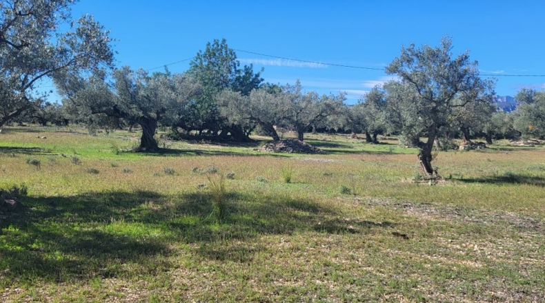 Tarragona - Raval de Crist - 21888m2