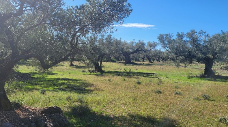 Tarragona - Raval de Crist - 21888m2