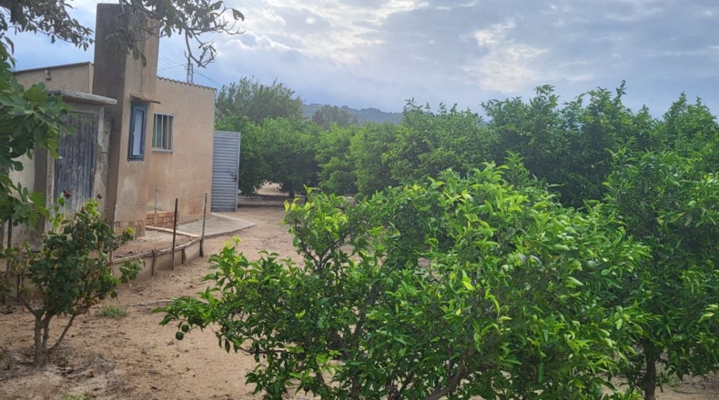 Tarragona - Tortosa - 6467m2