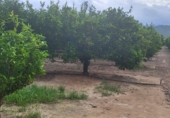 Finca rústica en venta en Tortosa ref: TR183540 foto