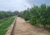 Finca rústica en venta en Tortosa ref: TR183540 foto