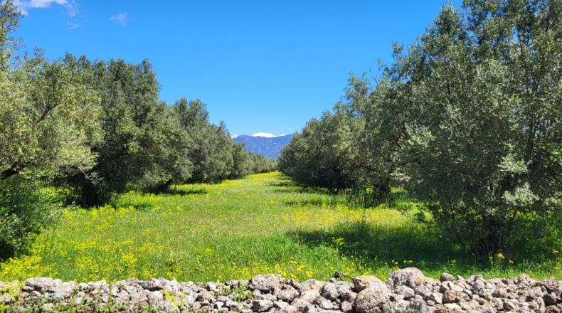 Tarragona - Tortosa - 37000m2