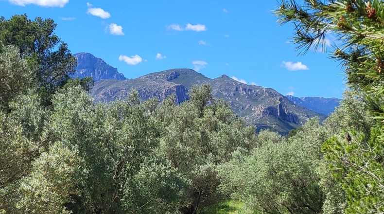 Tarragona - Tortosa - 37000m2