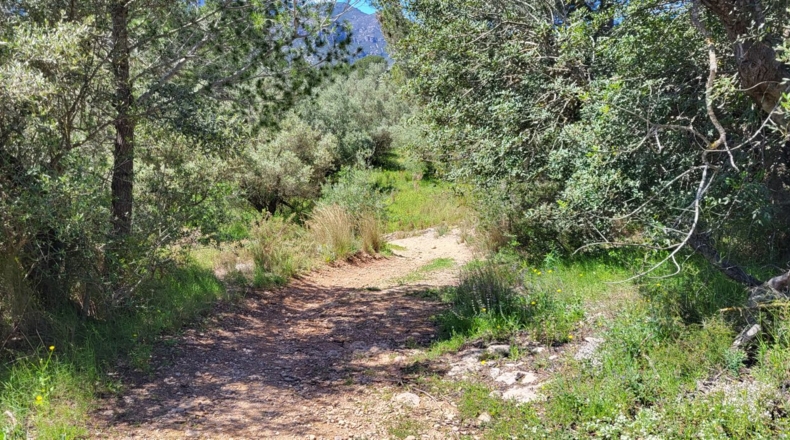 Tarragona - Tortosa - 37000m2