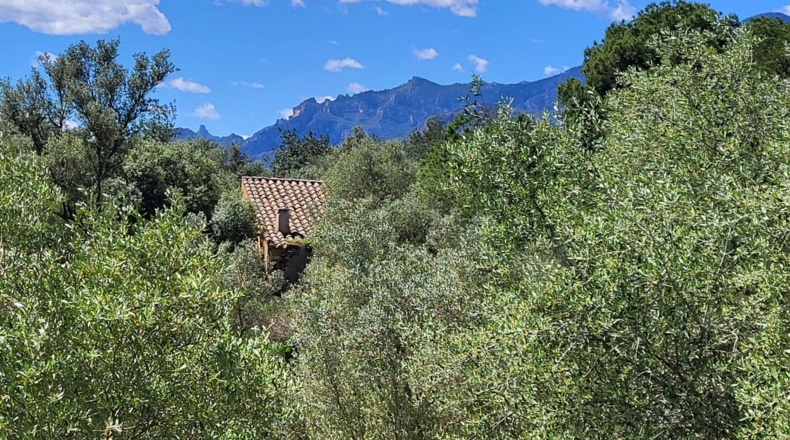Tarragona - Tortosa - 37000m2