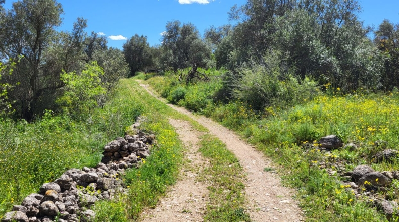 Tarragona - Tortosa - 37000m2