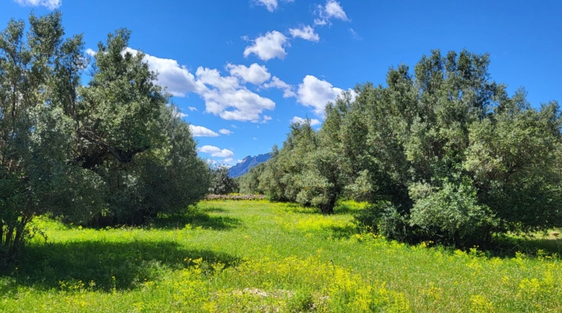 Tarragona - Tortosa - 37000m2