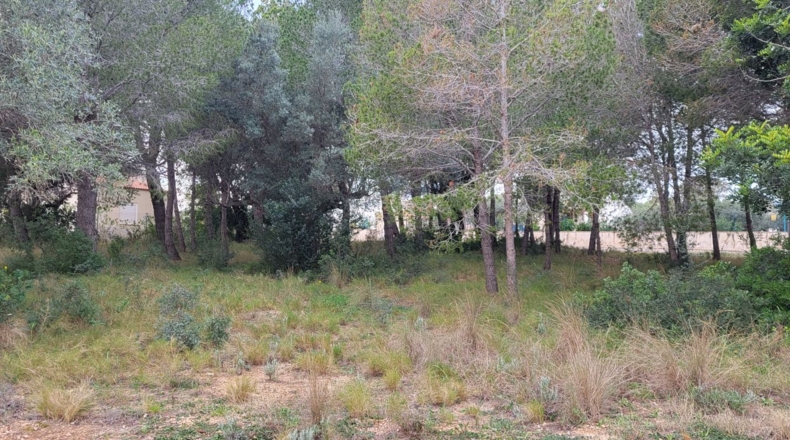 Tarragona - l'Ampolla - 1768m2