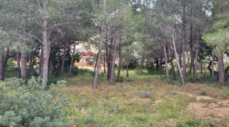 Tarragona - l'Ampolla - 1768m2