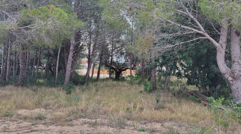 Tarragona - l'Ampolla - 1768m2