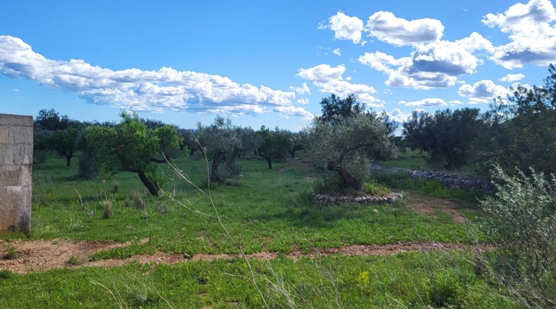 Tarragona - Roquetes - 26419m2