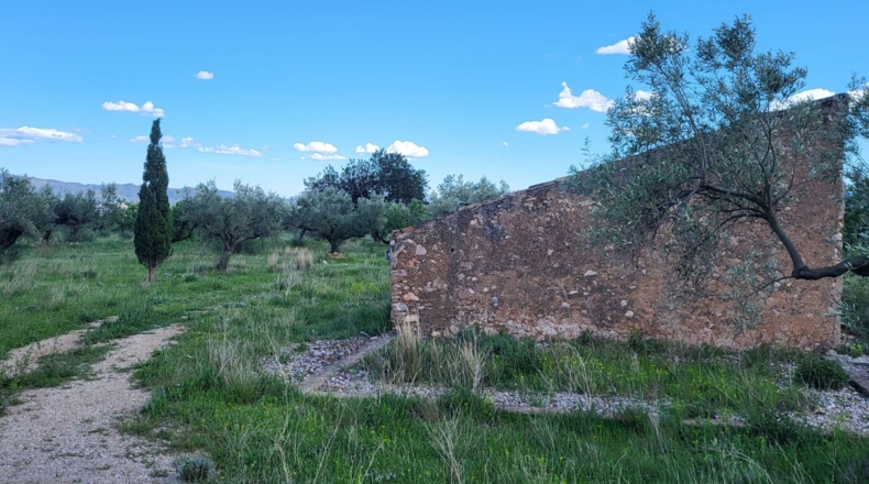 Tarragona - Roquetes - 26419m2