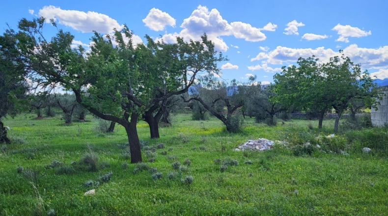 Tarragona - Roquetes - 26419m2