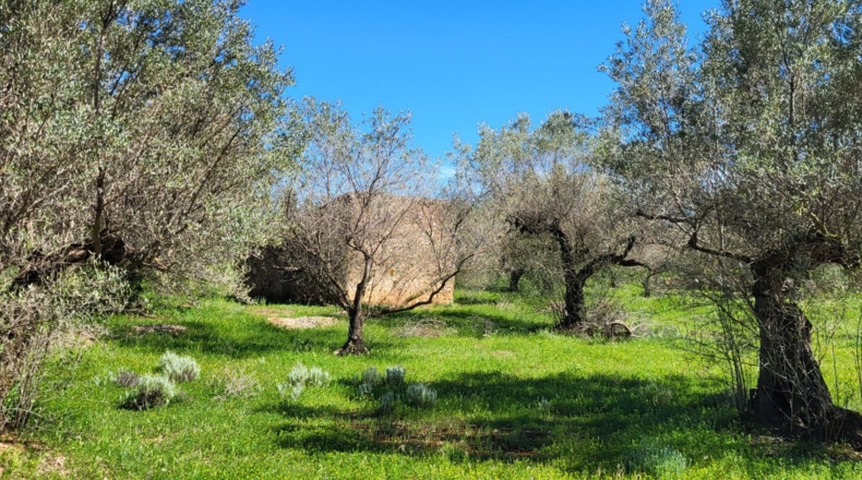 Tarragona - Roquetes - 11509m2
