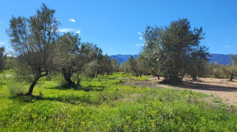 Tarragona - Roquetes - 11509m2