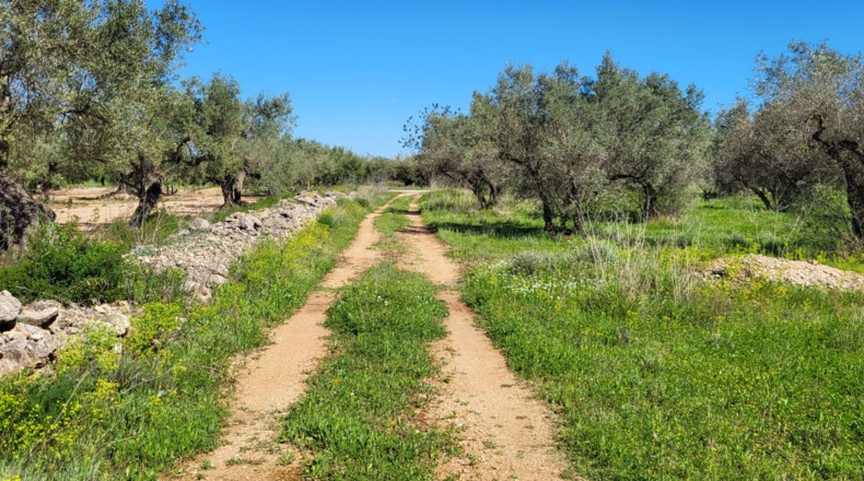 Tarragona - Roquetes - 11509m2