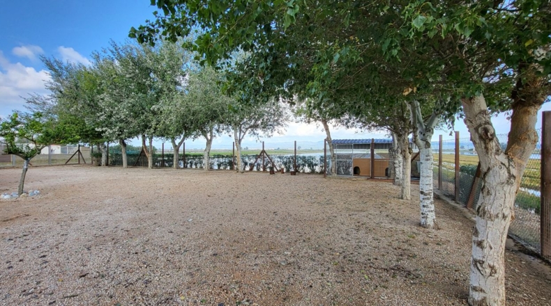 Tarragona - Deltebre - 17300m2