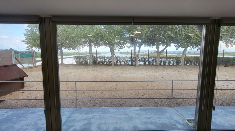 Tarragona - Deltebre - 17300m2