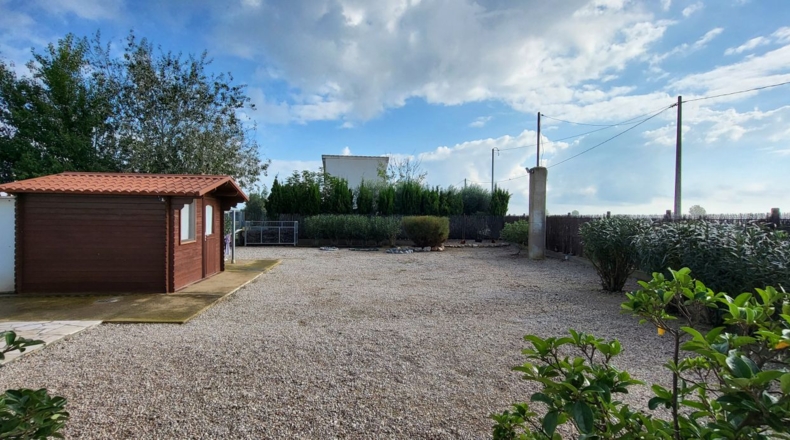 Tarragona - Deltebre - 17300m2