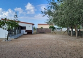 Xalet independent amb terreny en venda a Deltebre ref.: TR372943 foto