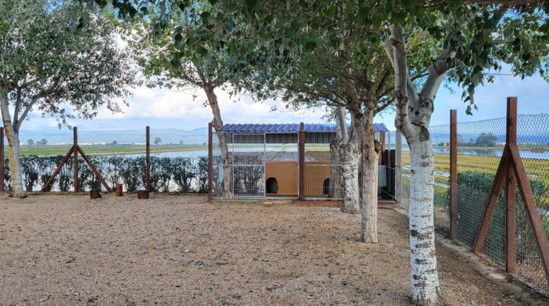 Tarragona - Deltebre - 17300m2