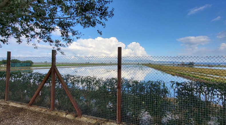 Tarragona - Deltebre - 17300m2