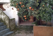 Casa de pueblo en venta en Navalvillar de Pela ref: TR189823 foto