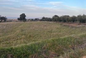 Navalvillar de Pela 1888&nbsp;m² 