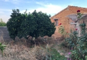 Sòl urbà en venda a la España, Navalvillar de Pela, ref.: TR110080 foto