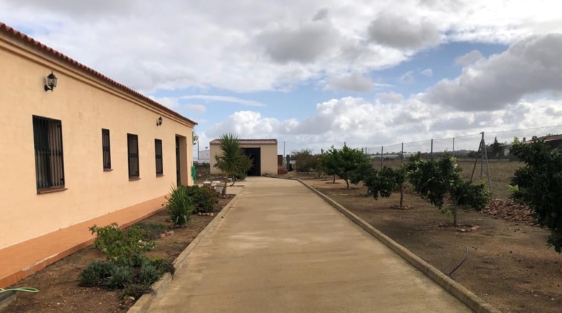 Badajoz - Navalvillar de Pela - 3191m2