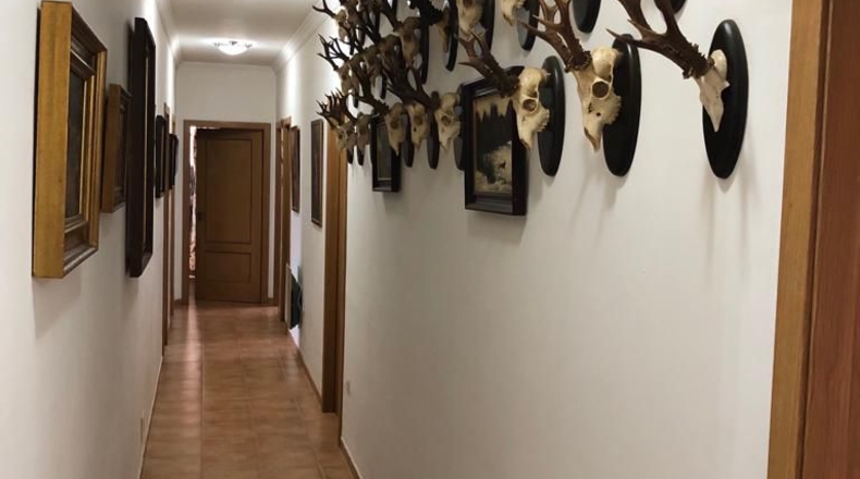 Badajoz - Navalvillar de Pela - 3191m2